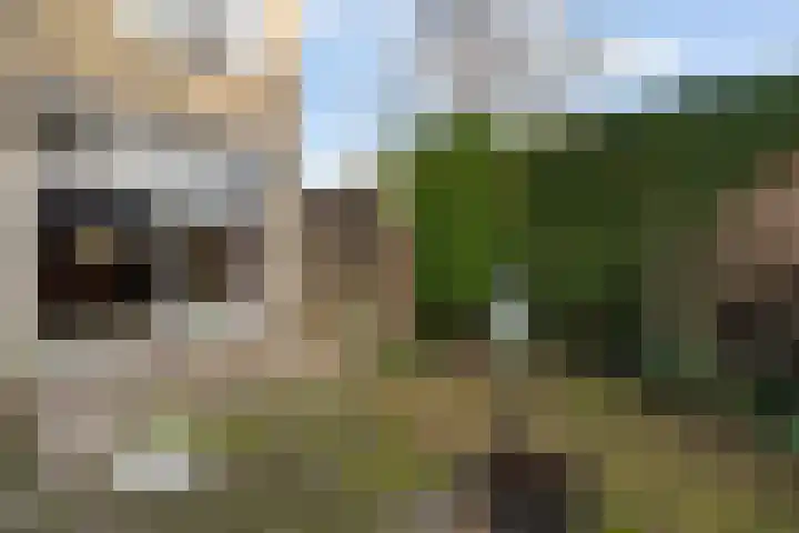 Vederwier 9 Leiden thumbnail 28