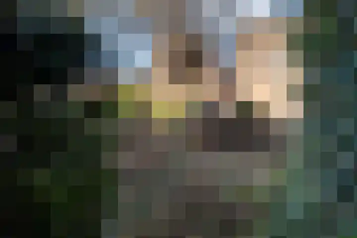 Vederwier 9 Leiden thumbnail 29