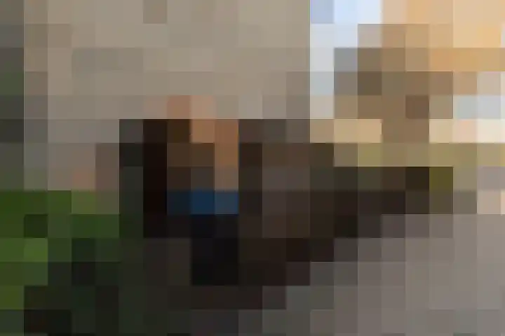 Vederwier 9 Leiden thumbnail 30