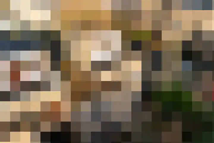 Vederwier 9 Leiden thumbnail 32