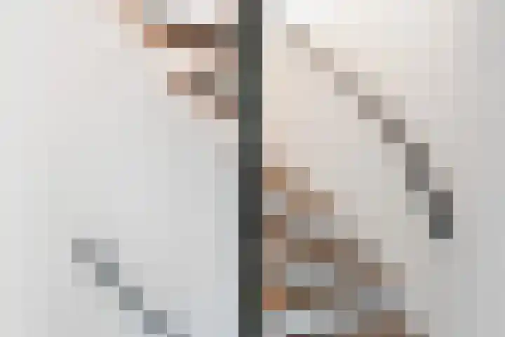 Vederwier 9 Leiden thumbnail 33