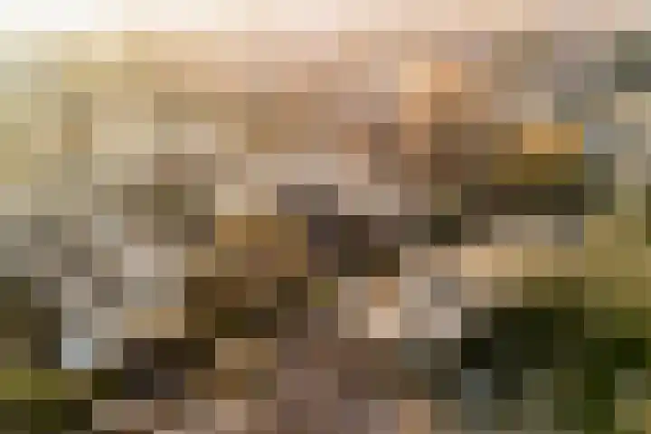 Vederwier 9 Leiden thumbnail 4