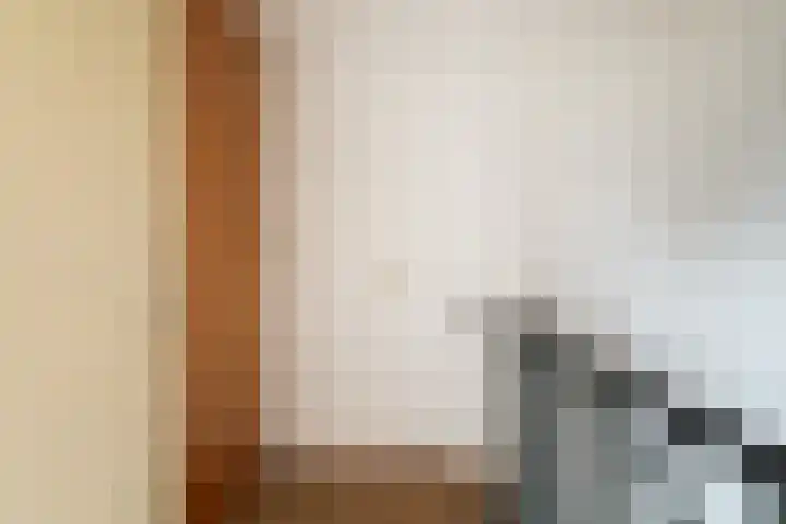 Vederwier 9 Leiden thumbnail 43
