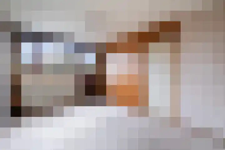 Vederwier 9 Leiden thumbnail 45