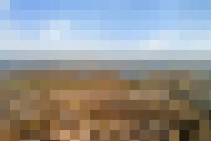 Vederwier 9 Leiden thumbnail 49