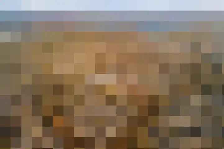 Vederwier 9 Leiden thumbnail 5