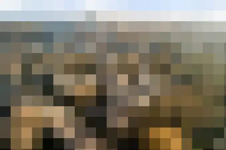 Vederwier 9 Leiden thumbnail 50