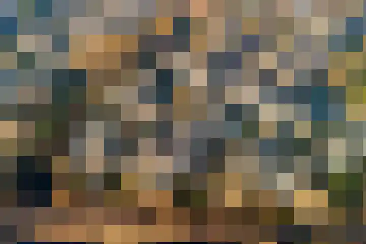 Vederwier 9 Leiden thumbnail 51