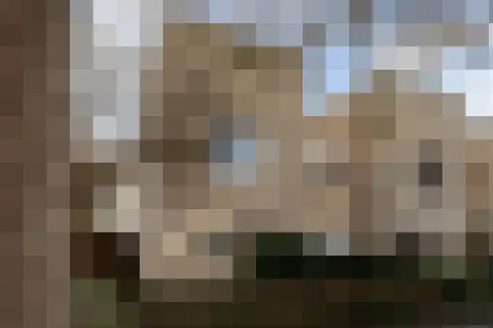 Vederwier 9 Leiden thumbnail 6