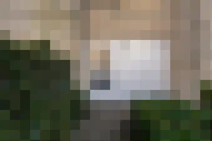 Vederwier 9 Leiden thumbnail 7
