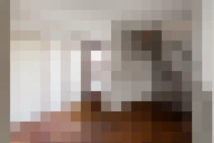 Vederwier 9 Leiden thumbnail 8