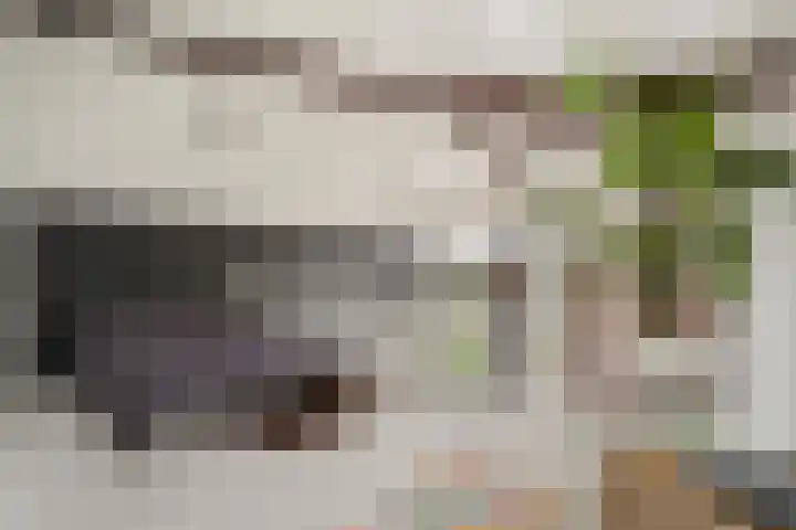 Veeartsenijstraat 207 Utrecht thumbnail 20