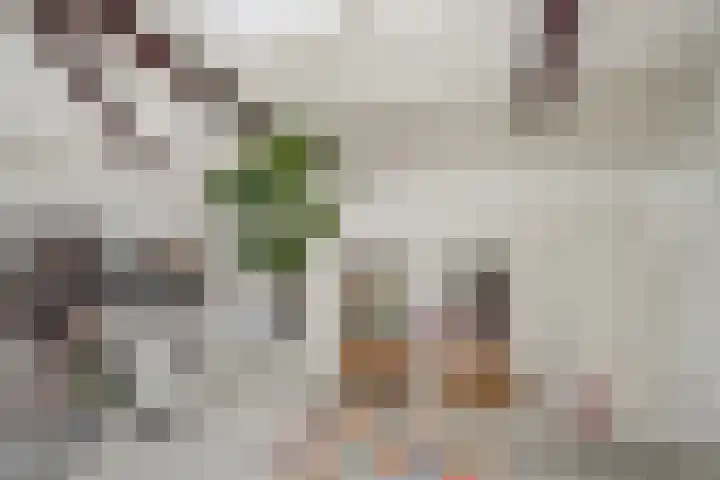 Veeartsenijstraat 207 Utrecht thumbnail 23