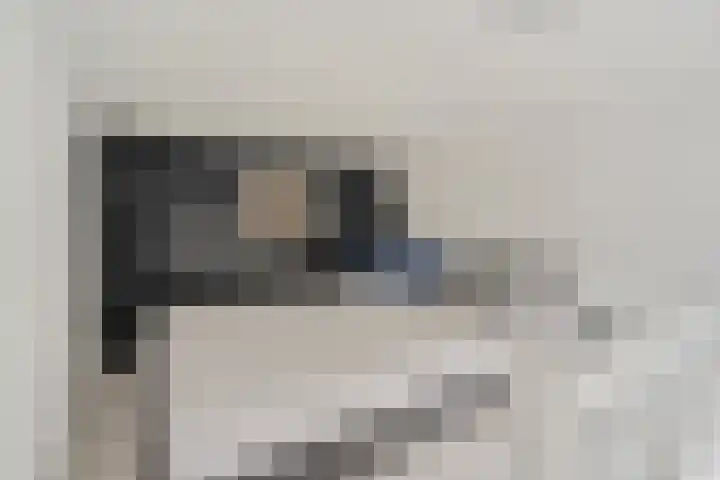 Veeartsenijstraat 207 Utrecht thumbnail 31