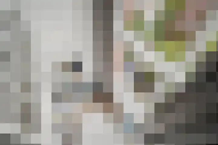 Veeartsenijstraat 207 Utrecht thumbnail 32
