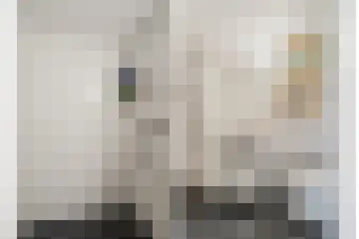 Veeartsenijstraat 207 Utrecht thumbnail 35