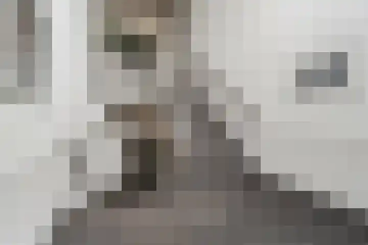 Veeartsenijstraat 207 Utrecht thumbnail 38