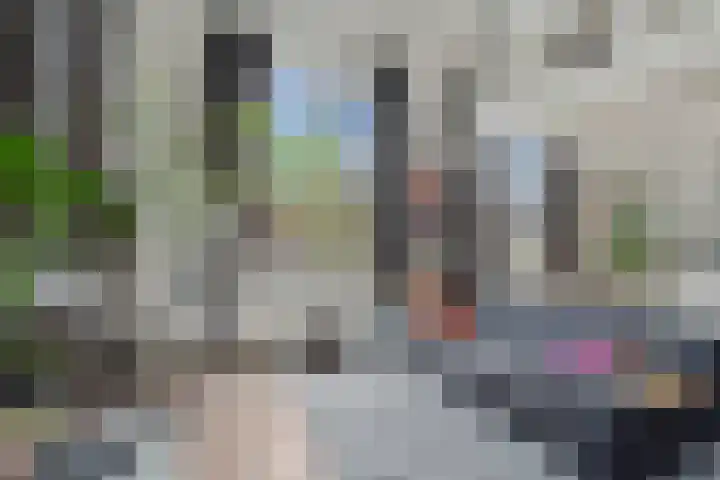 Veeartsenijstraat 207 Utrecht thumbnail 6