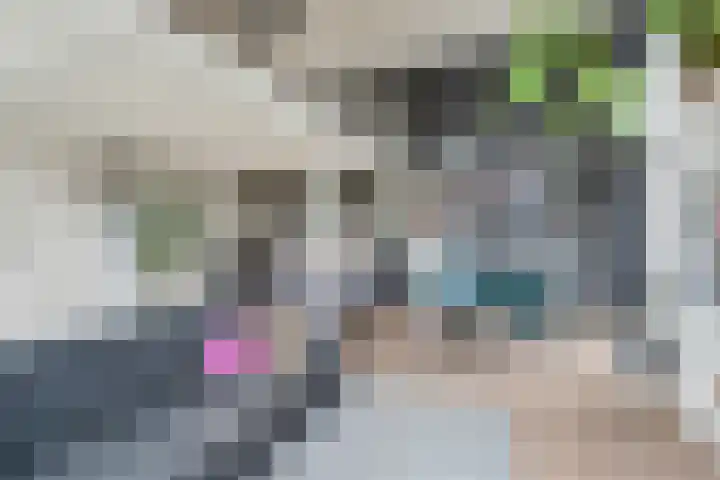 Veeartsenijstraat 207 Utrecht thumbnail 7