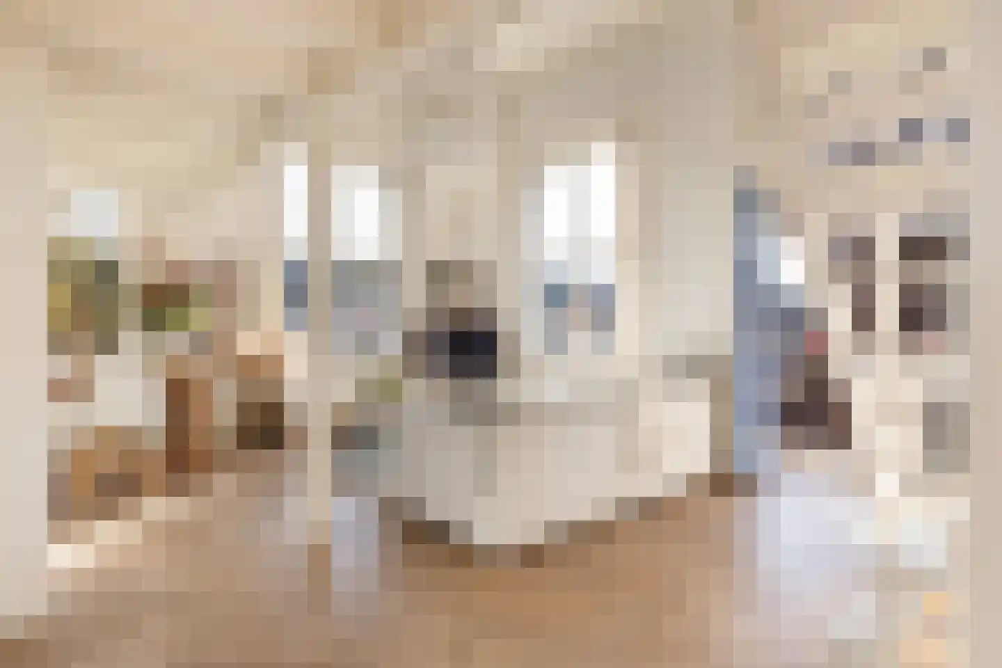 Veeartsenijstraat 209 Utrecht thumbnail 14