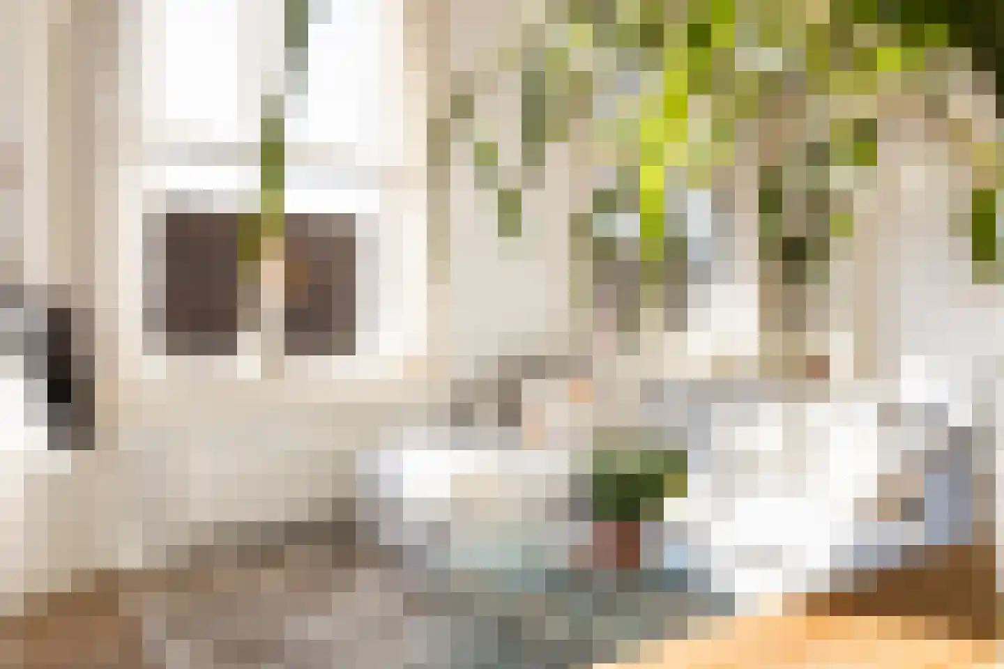 Veeartsenijstraat 209 Utrecht thumbnail 17