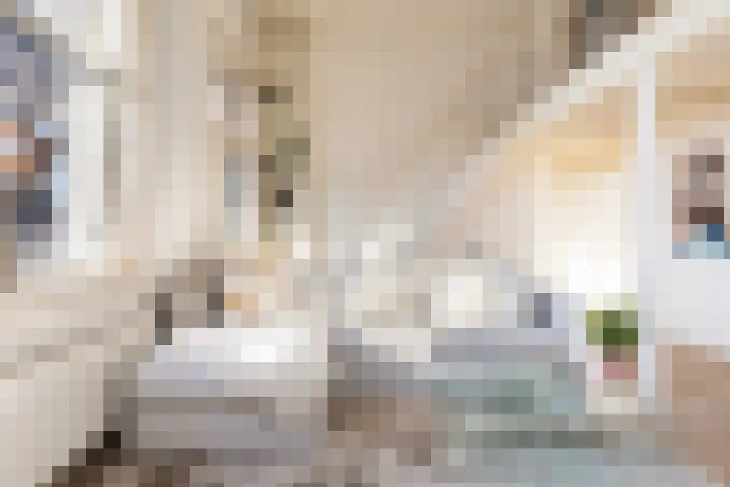 Veeartsenijstraat 209 Utrecht thumbnail 18