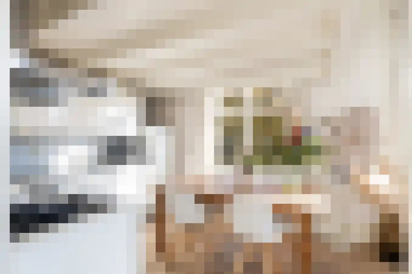 Veeartsenijstraat 209 Utrecht thumbnail 23