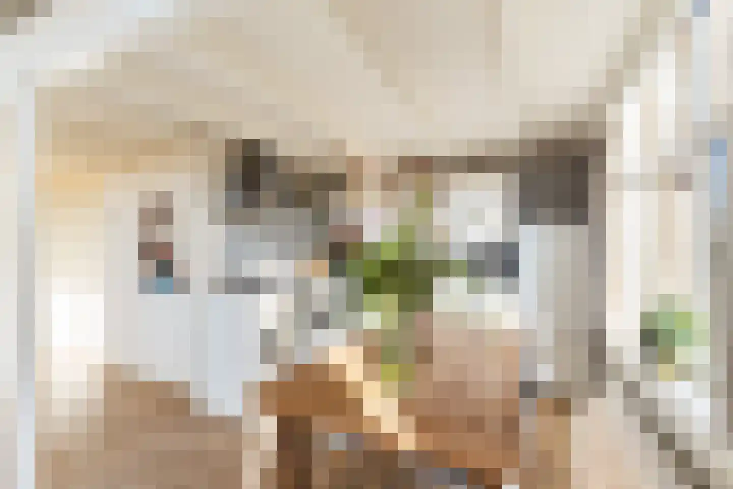 Veeartsenijstraat 209 Utrecht thumbnail 24