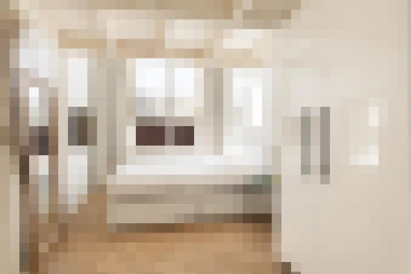 Veeartsenijstraat 209 Utrecht thumbnail 30