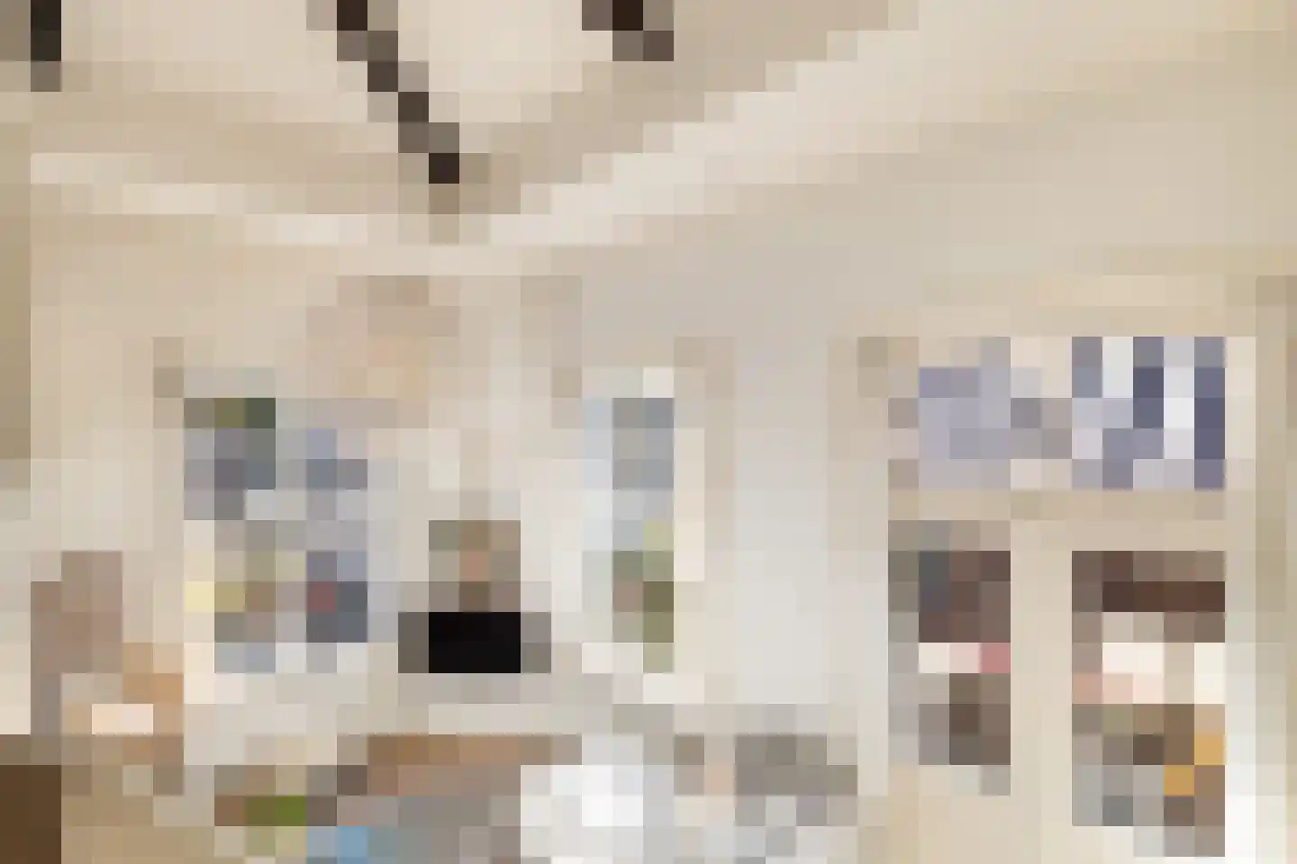 Veeartsenijstraat 209 Utrecht thumbnail 36