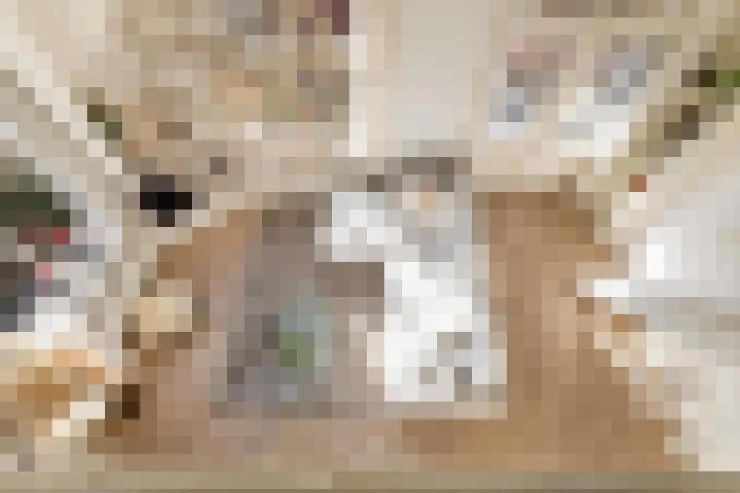 Veeartsenijstraat 209 Utrecht thumbnail 37