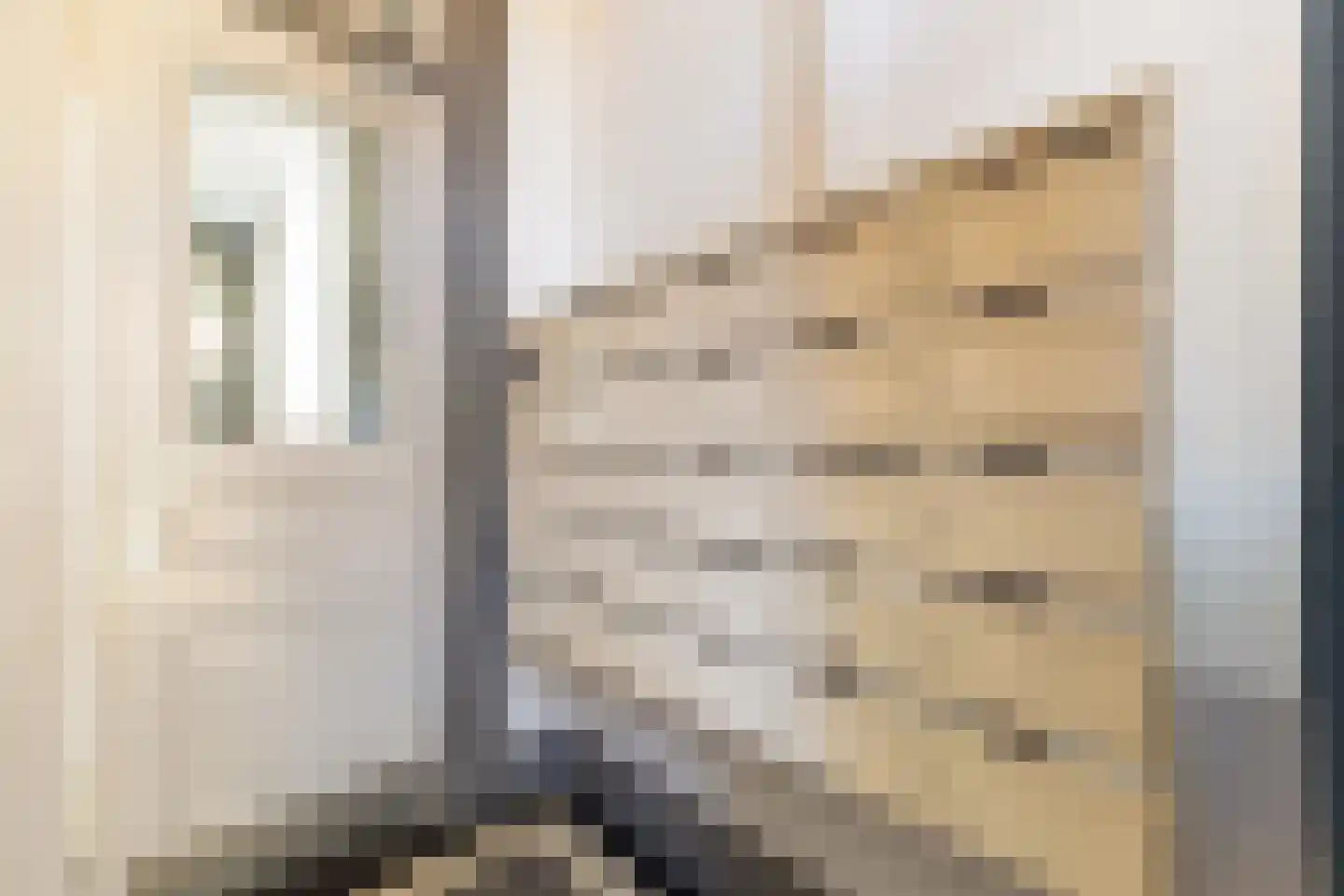 Veeartsenijstraat 209 Utrecht thumbnail 44