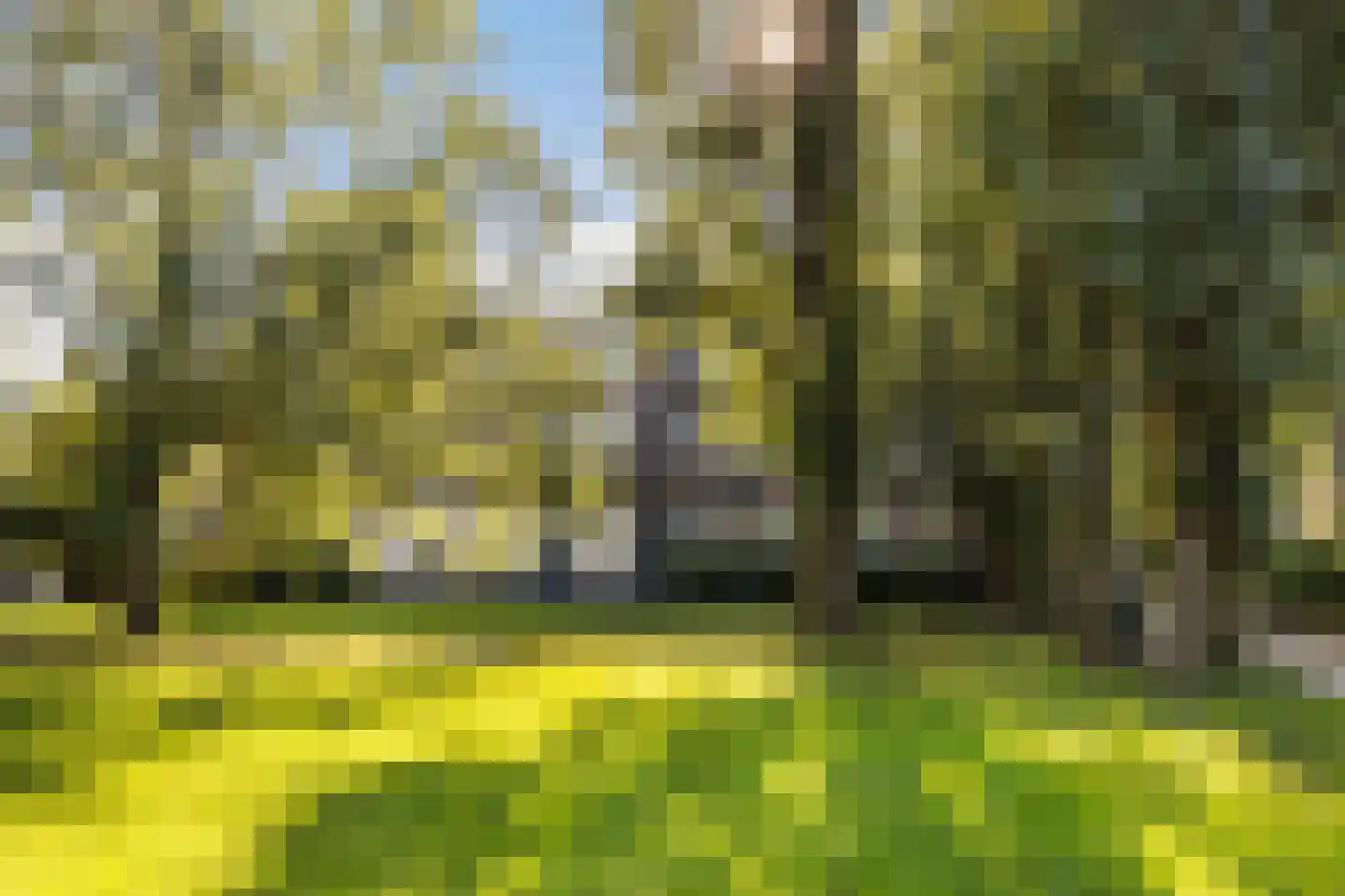 Veeartsenijstraat 209 Utrecht thumbnail 46