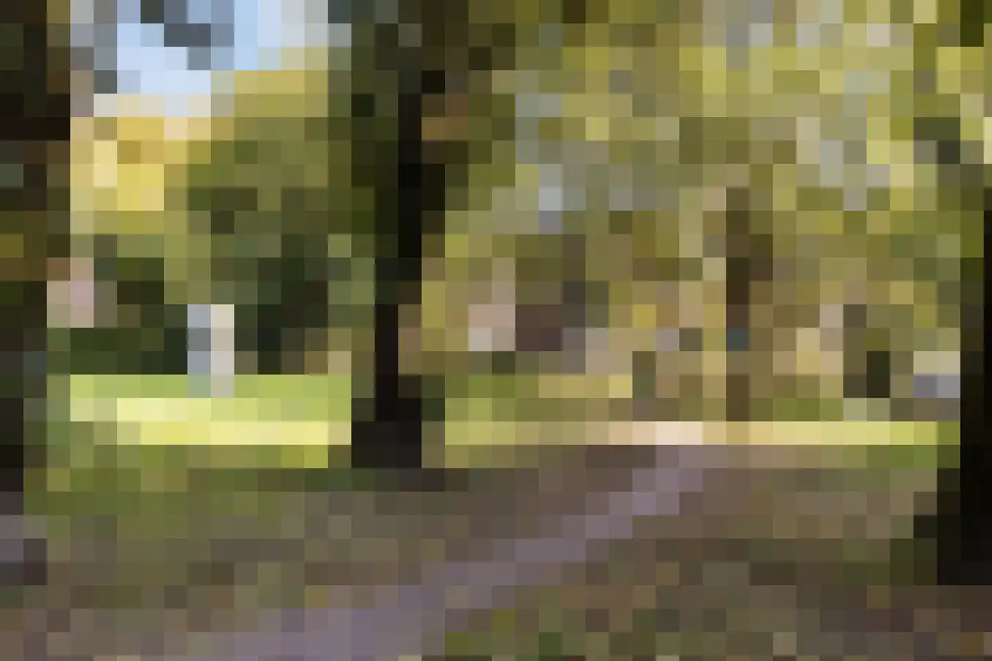 Veeartsenijstraat 209 Utrecht thumbnail 47