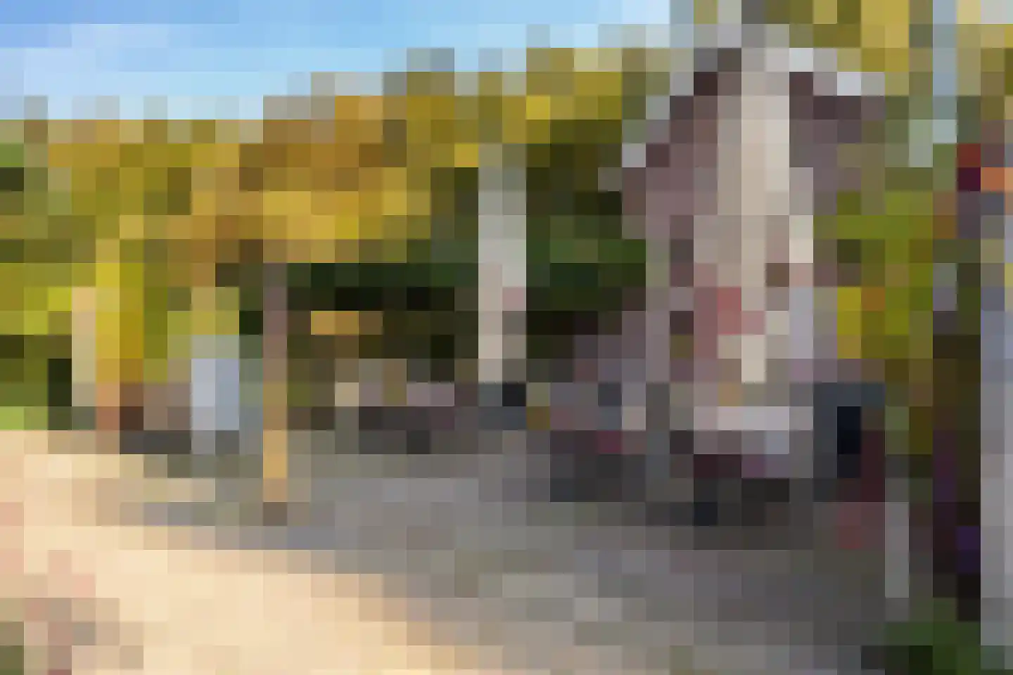 Veeartsenijstraat 209 Utrecht thumbnail 48