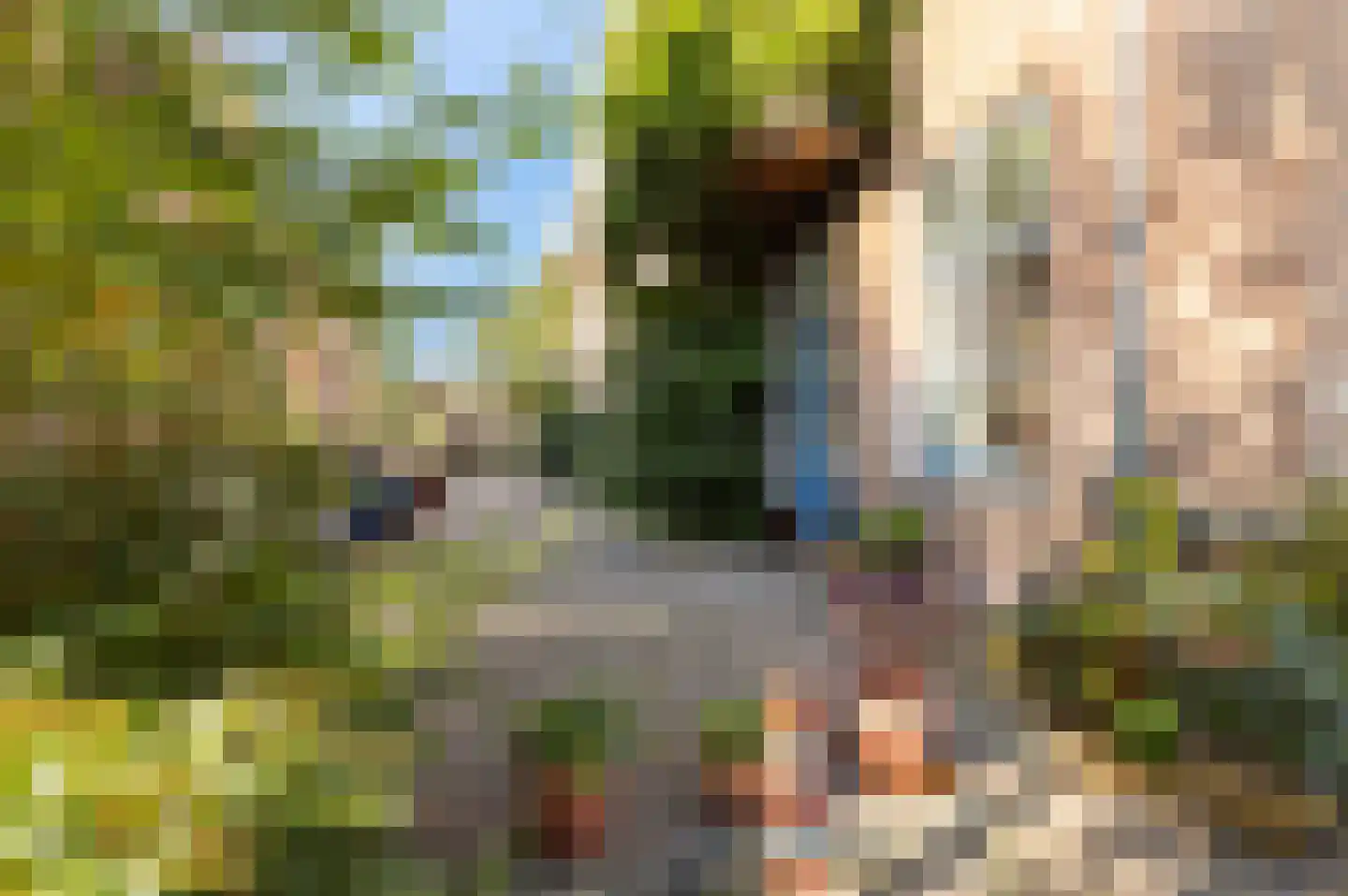 Veeartsenijstraat 209 Utrecht thumbnail 49