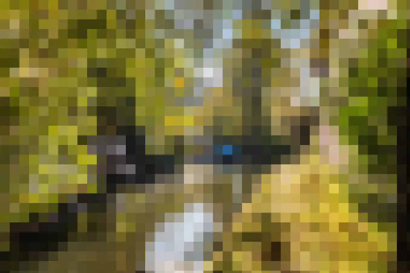 Veeartsenijstraat 209 Utrecht thumbnail 52