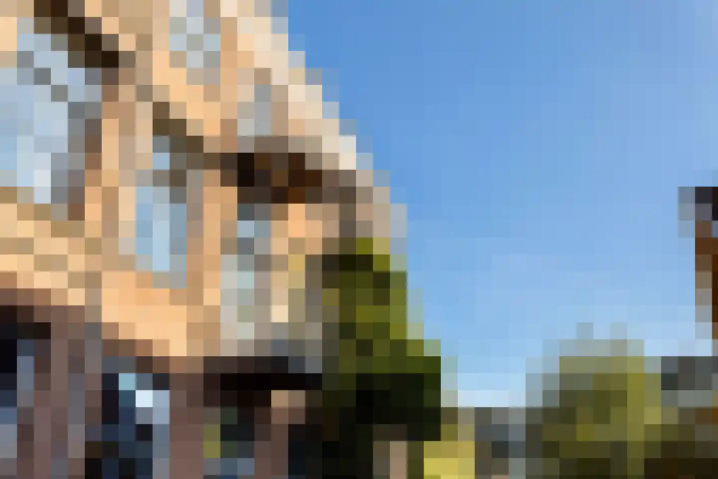 Veeartsenijstraat 209 Utrecht thumbnail 7