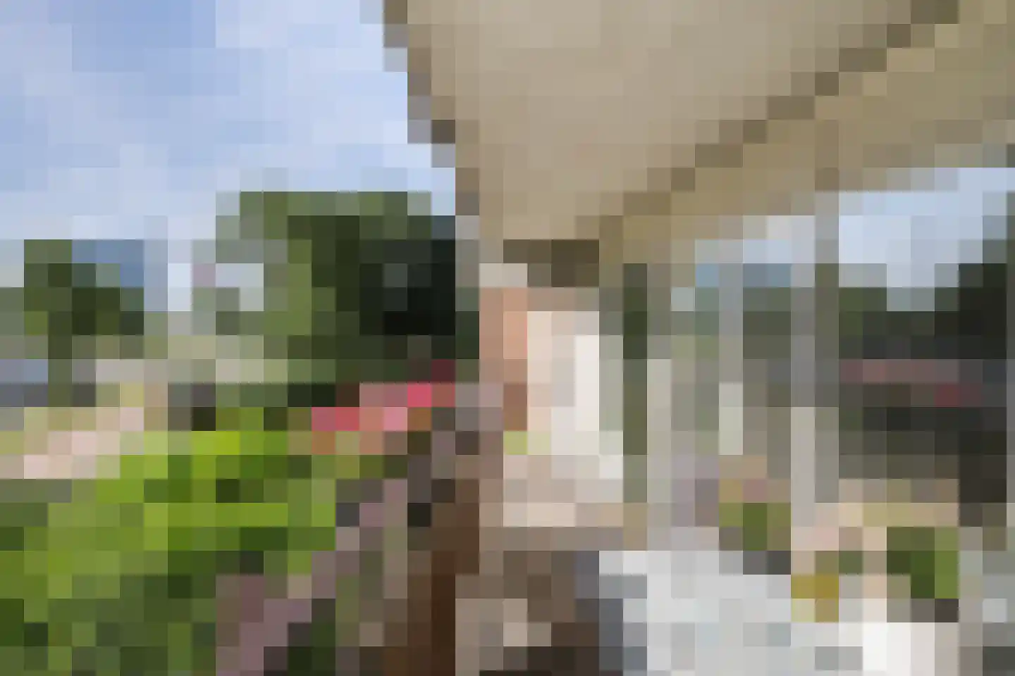 Veeartsweg 1 Schiedam thumbnail 12