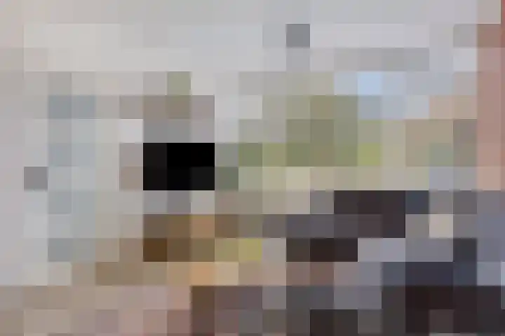 Veeckensstraat 6 Hellevoetsluis thumbnail 6