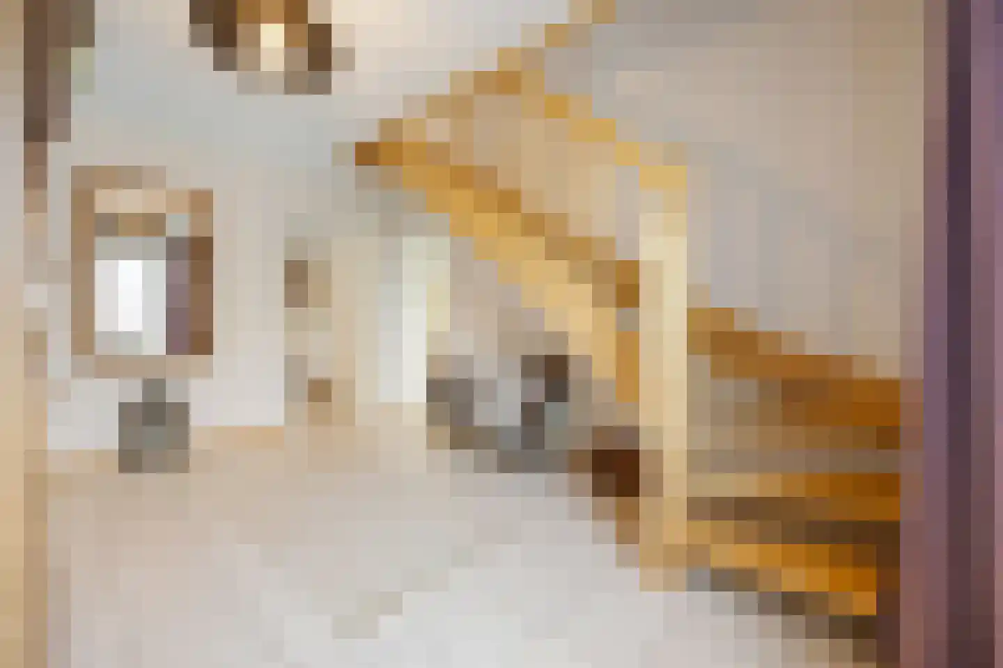 Veedijk 15 Ottersum thumbnail 21