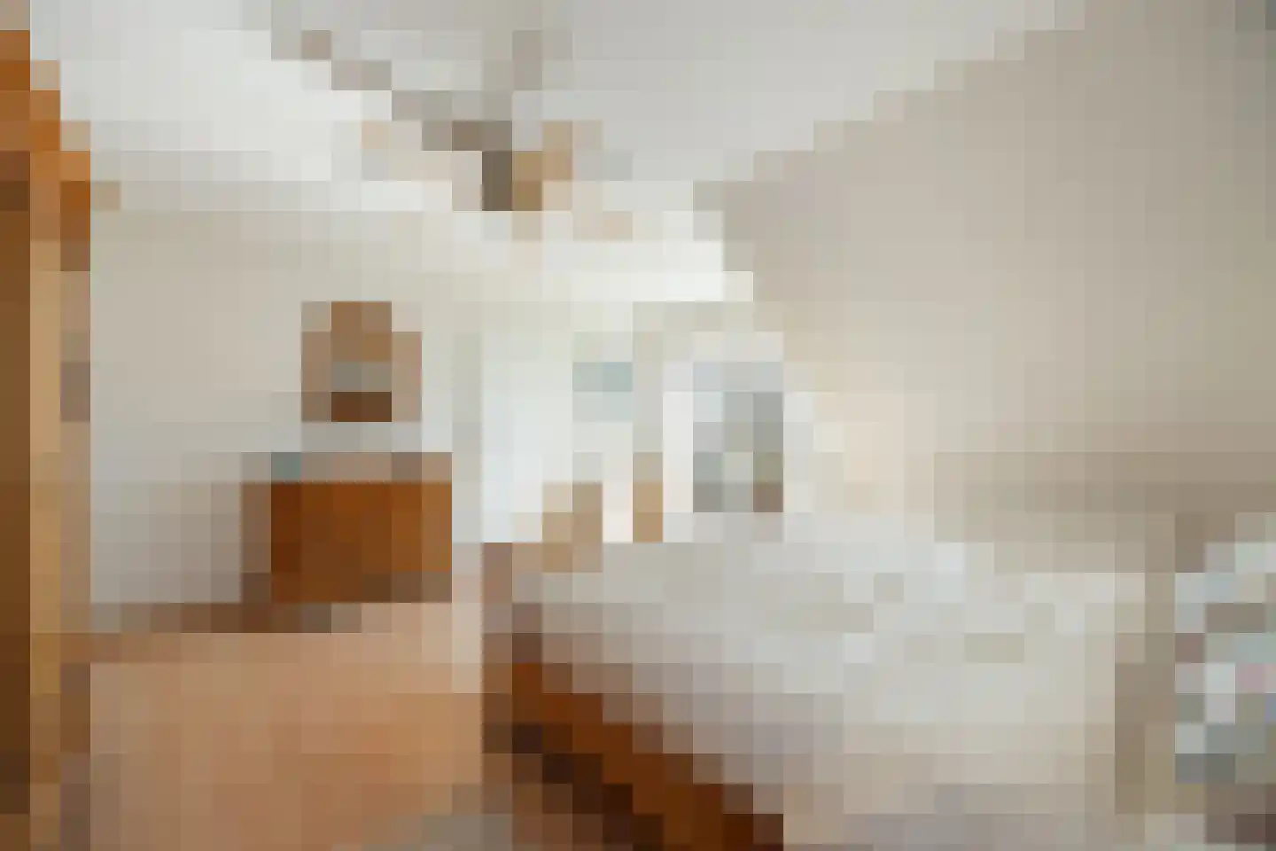 Veedijk 15 Ottersum thumbnail 25