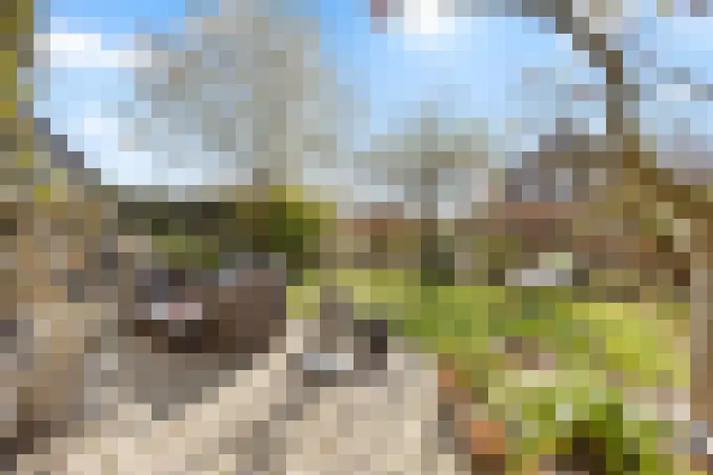 Veedijk 15 Ottersum thumbnail 47