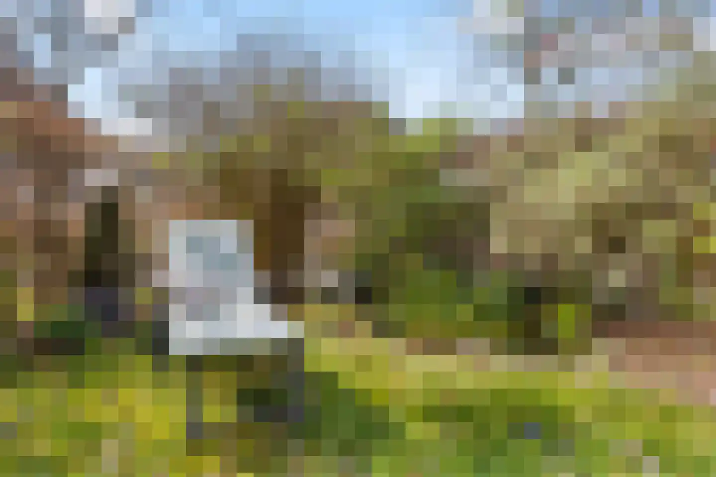 Veedijk 15 Ottersum thumbnail 49