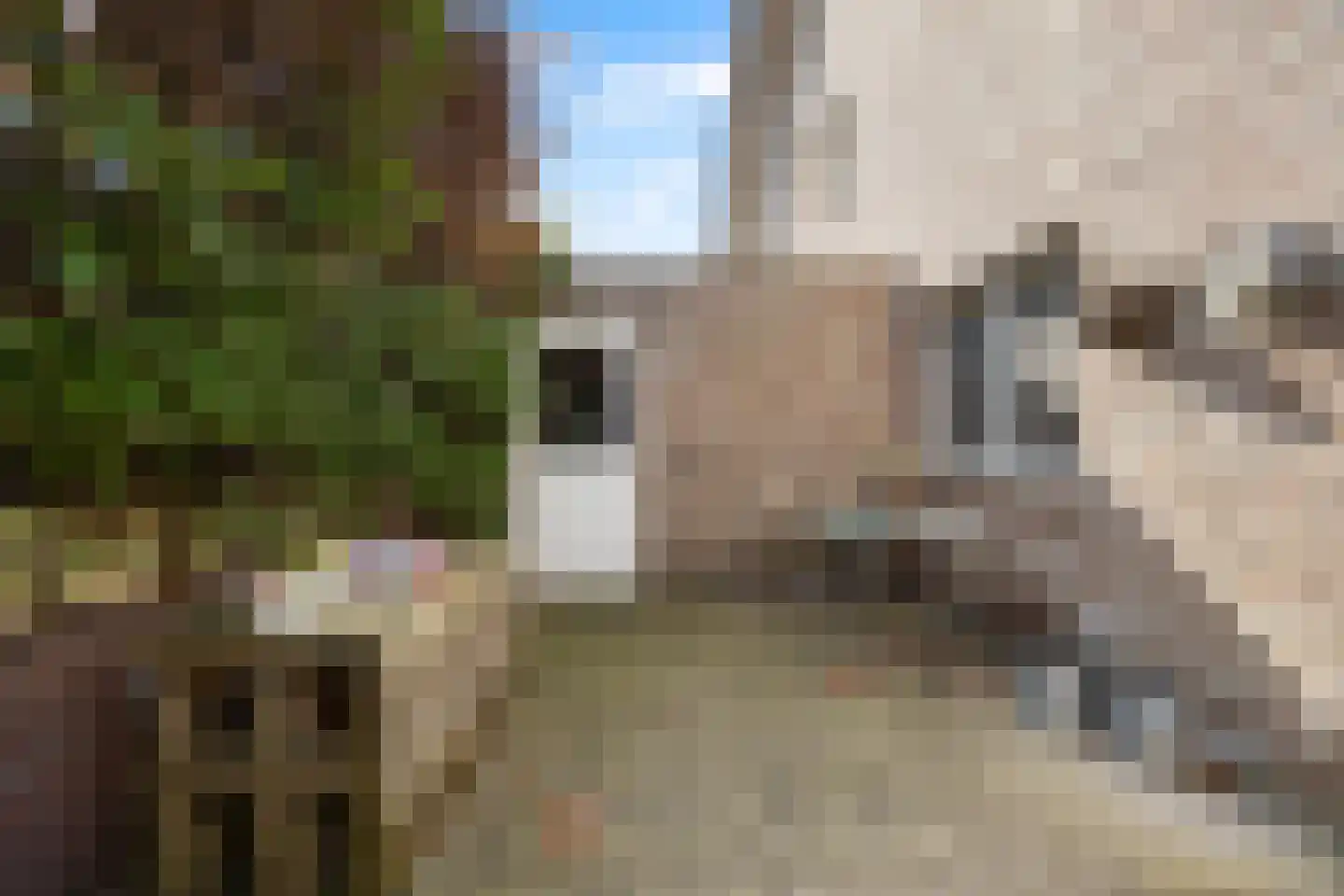 Veedijk 15 Ottersum thumbnail 55