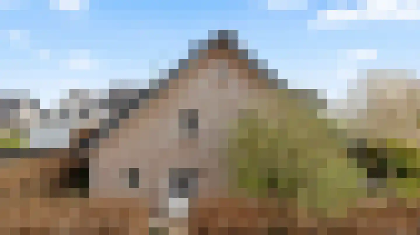 Veedijk 15 Ottersum thumbnail 56
