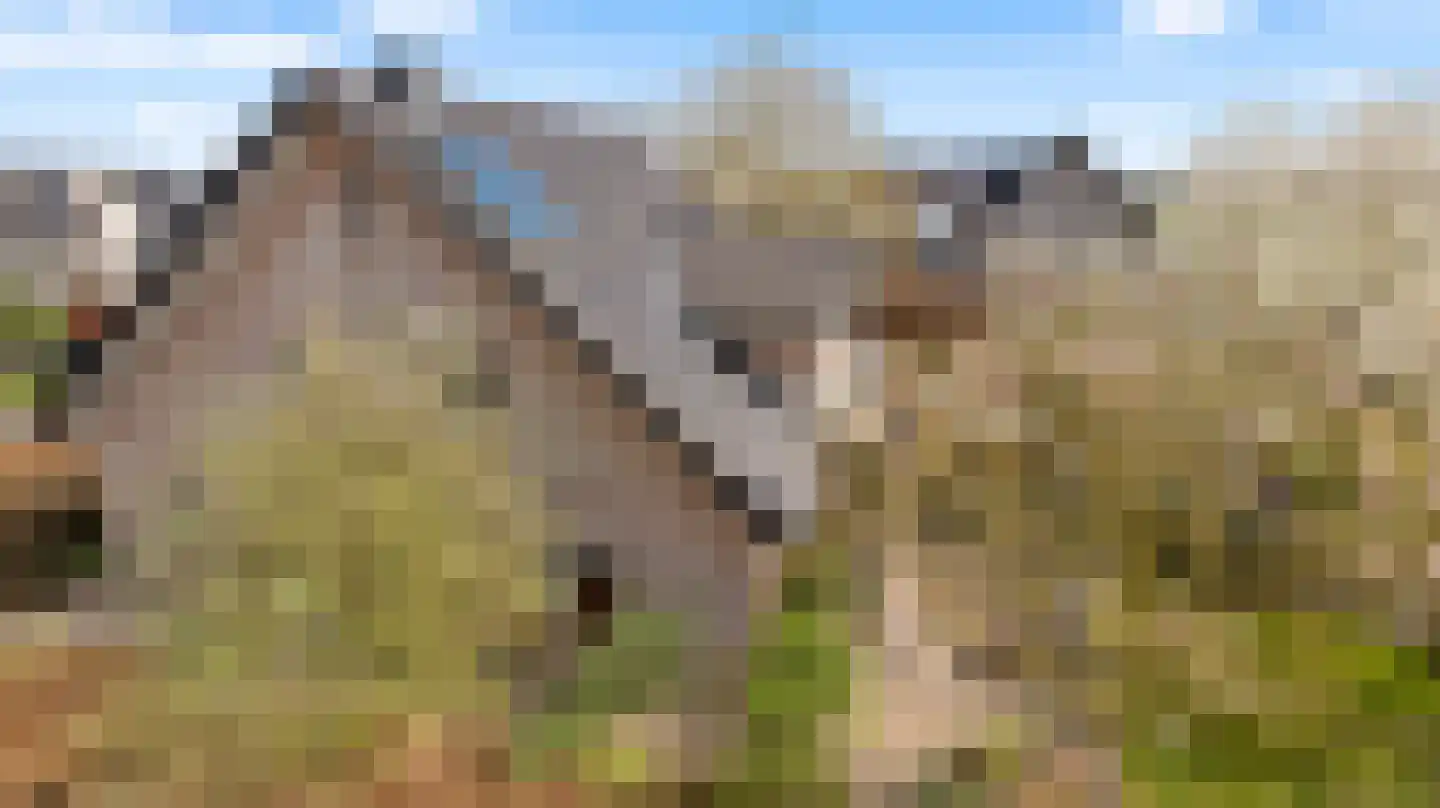 Veedijk 15 Ottersum thumbnail 58