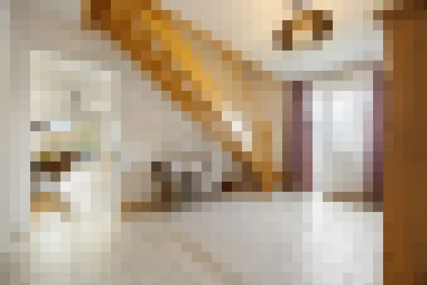 Veedijk 15 Ottersum thumbnail 6