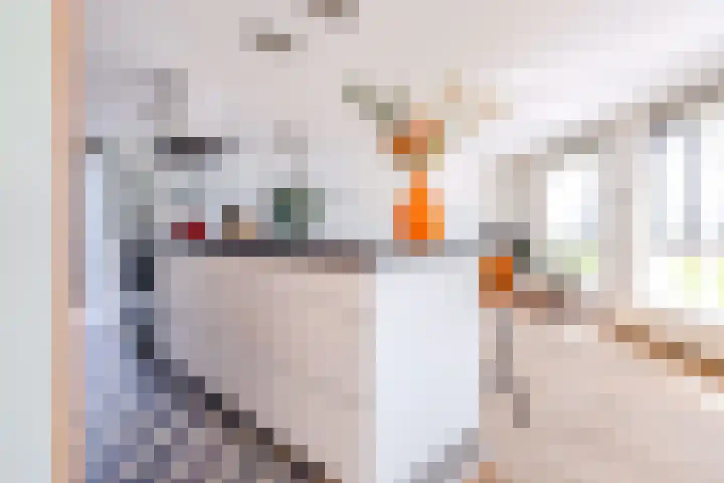 Veehalstraat 16 Leiden thumbnail 6