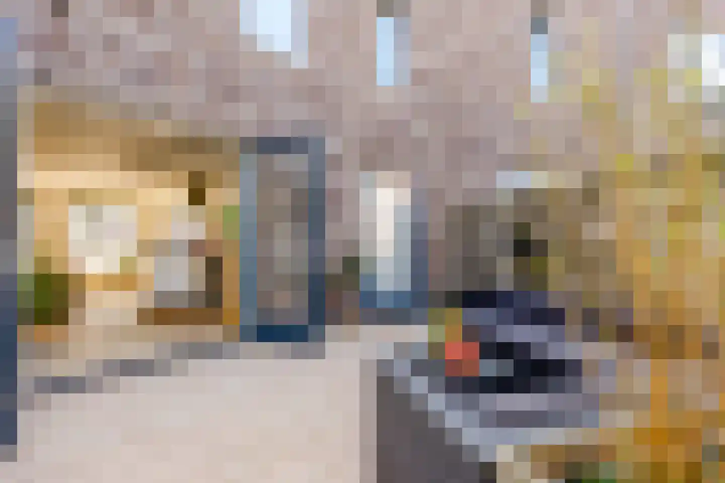 Veehalstraat 16 Leiden thumbnail 8